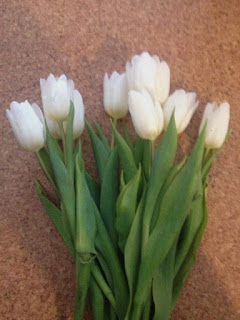 Weiße Tulpen: Frühling!