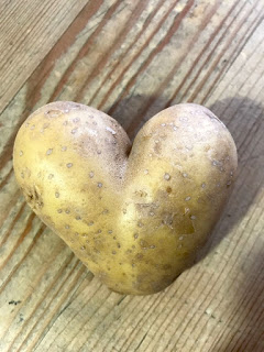 Ein Herz aus einer Kartoffel 