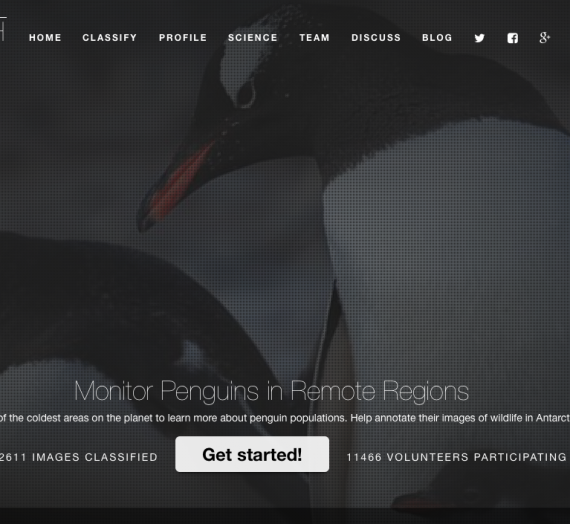 Stellenausschreibung: Pinguinforscher