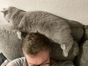 Katze auf Kopf