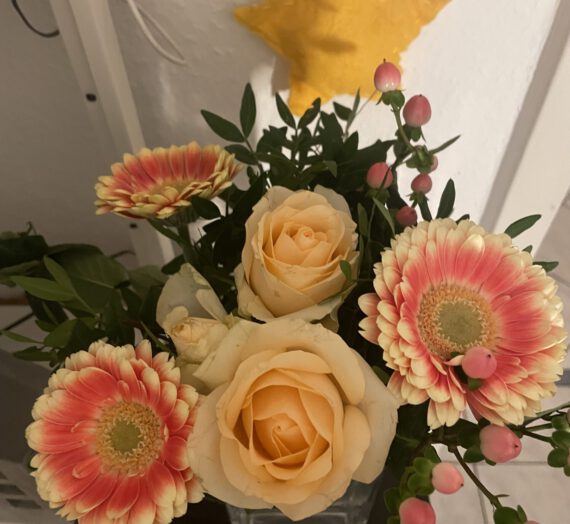 12 von 12 im November 2025 (Ganz schön dunkel)